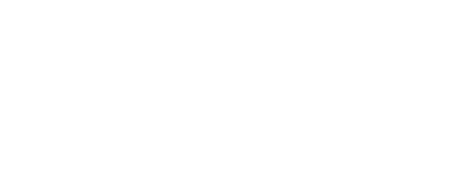 Pico Logo